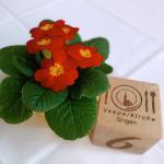 07 Letzte Vorbereitungen 020